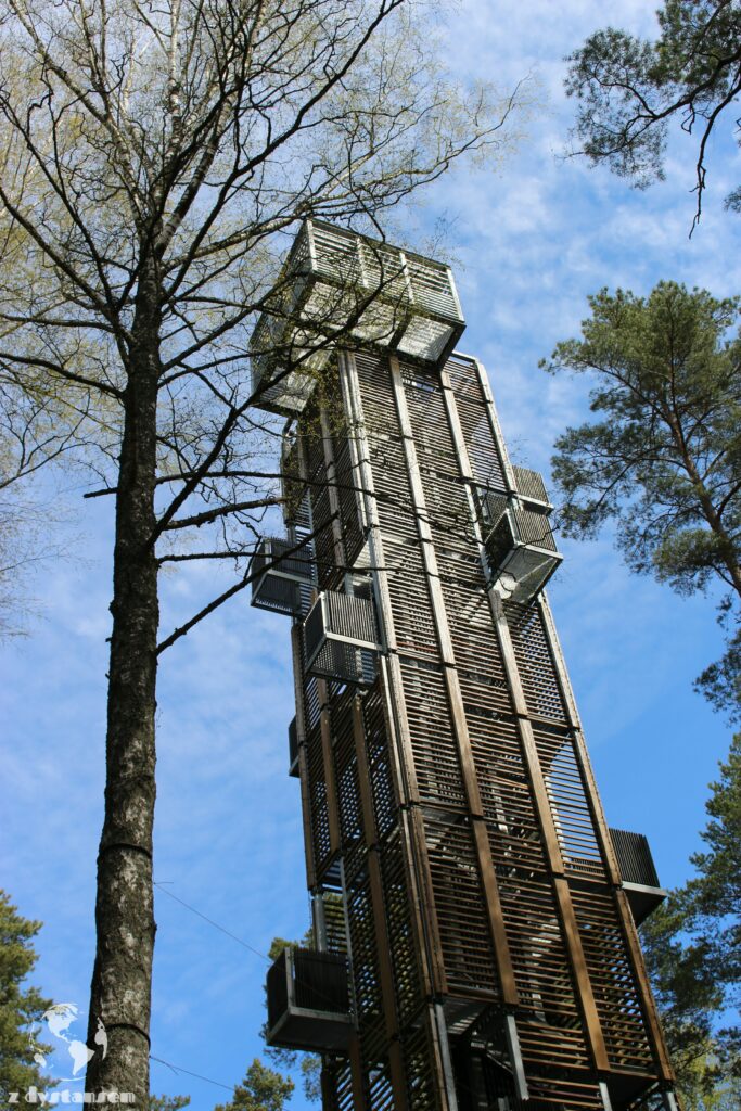 park leśny w Dzintari