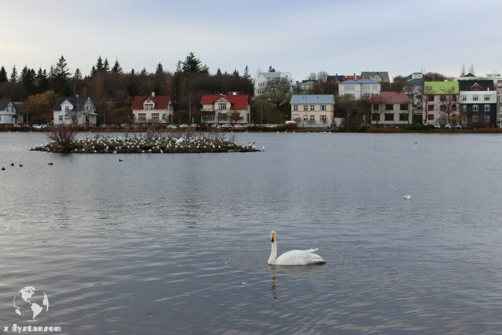 Reykjavik | jezioro