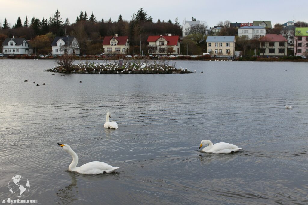 Reykjavik | jezioro