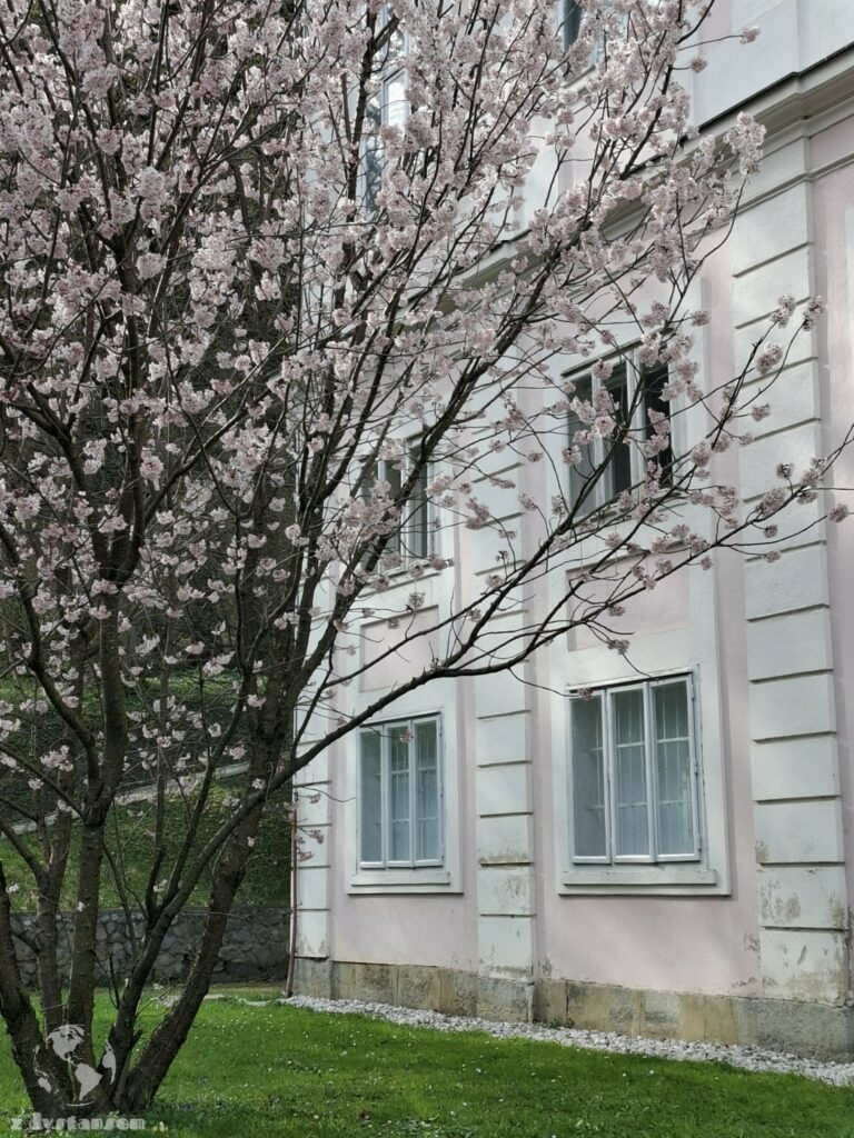 Narodowe Muzeum Historii Współczesnej w Lublanie